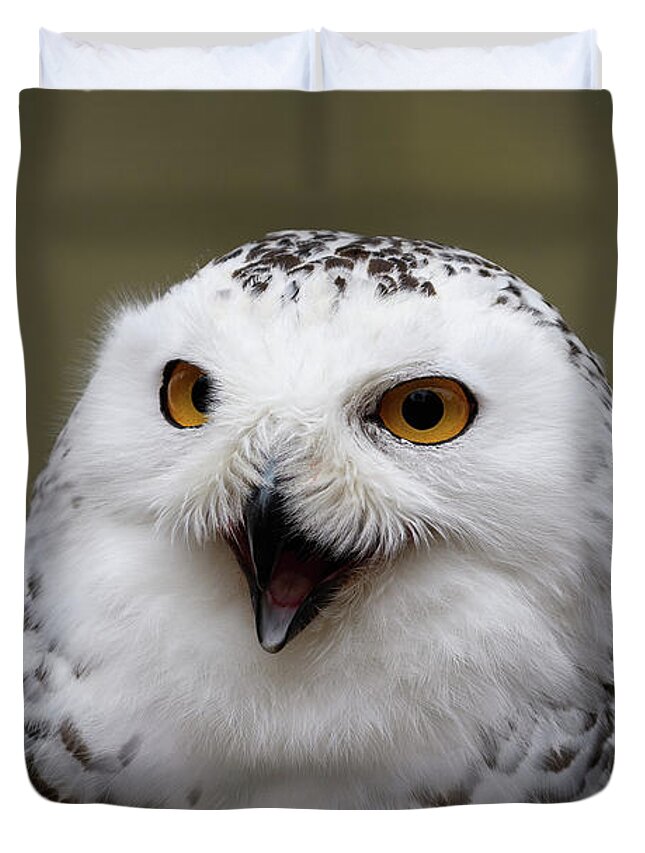 Snowy Sings Duvet Cover featuring the photograph Snowy Sings by Michael Hubley