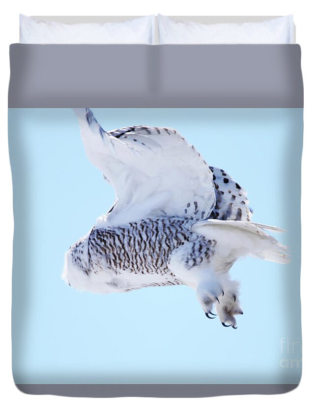 Snowy Take-off Duvet Cover featuring the photograph Snowy Take-off by Alyce Taylor