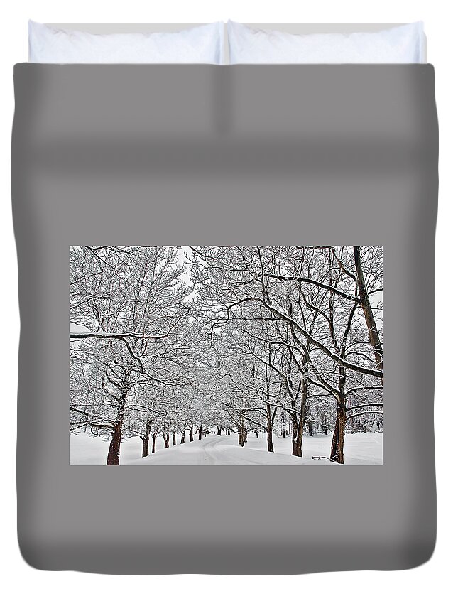 Landscape Duvet Cover featuring the photograph Snowy Treeline by Aimee L Maher ALM GALLERY