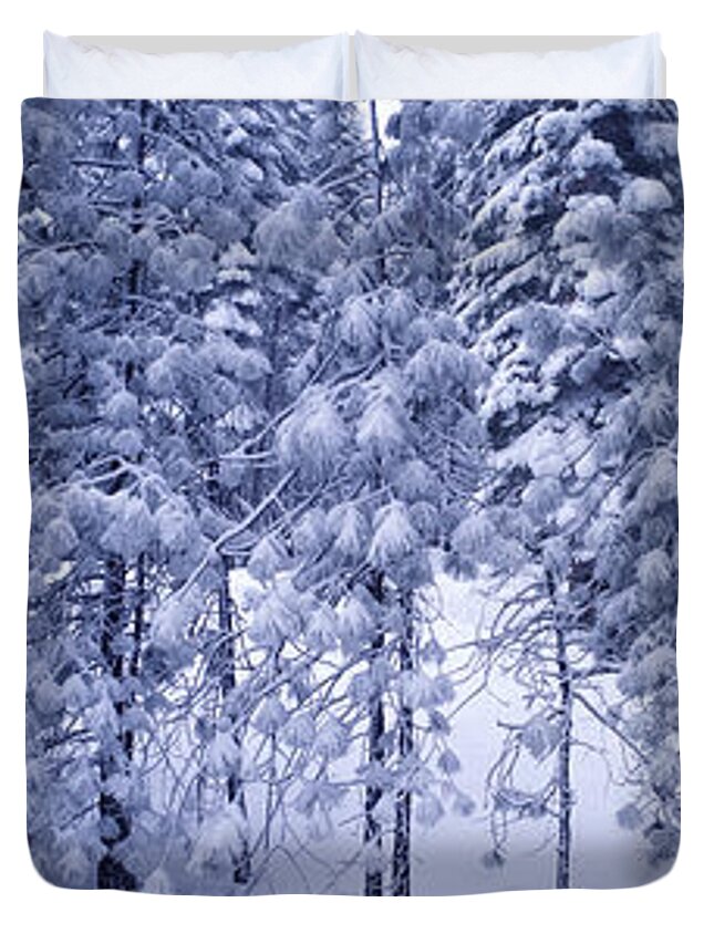 Snow Duvet Cover featuring the photograph Snowy Woods by Wernher Krutein