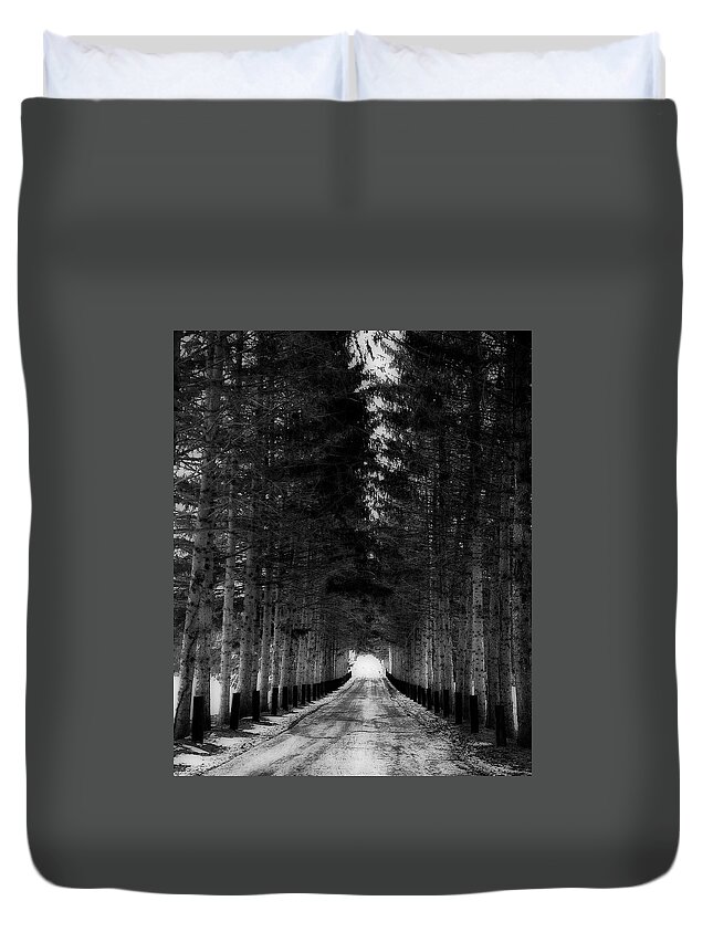 Snowy Trail To Winter Duvet Cover featuring the photograph SnowyTrail to Winter by Femina Photo Art By Maggie