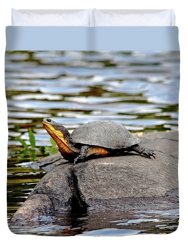 Blanding's Turtle Duvet Cover featuring the photograph Soaking Up The Sun by Debbie Oppermann