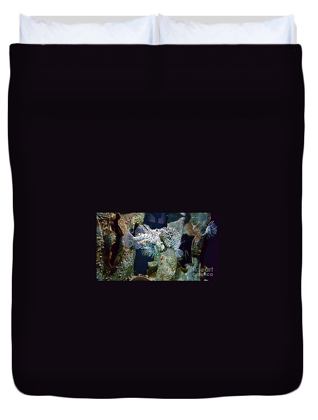 Water Duvet Cover featuring the photograph Socializing Fish by Jimmy Clark