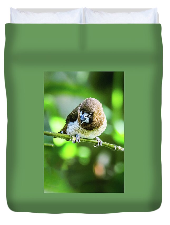 Animal Duvet Cover featuring the photograph Society finch by SAURAVphoto Online Store