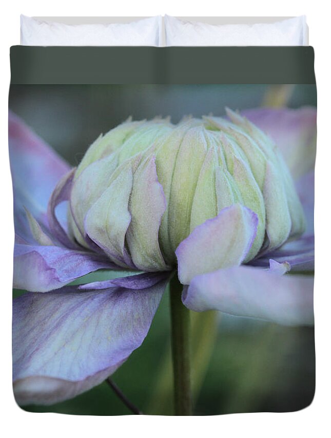 Clematis Duvet Cover featuring the photograph Soft And Cozy by Connie Handscomb