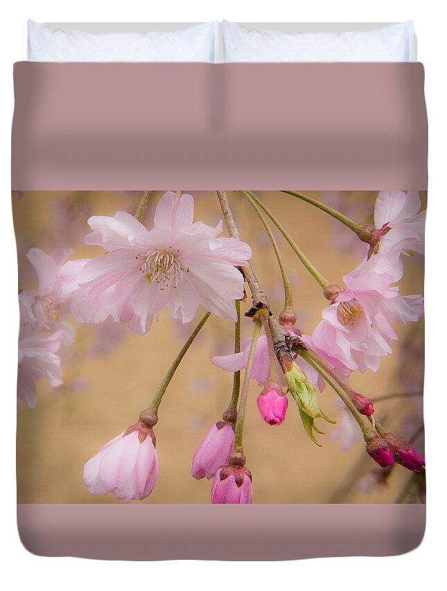 Duke University Duvet Cover featuring the photograph Soft Spring Blossoms by Joni Eskridge