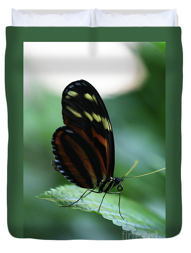 Butterfly Duvet Cover featuring the photograph Soft Touch by Linda Shafer