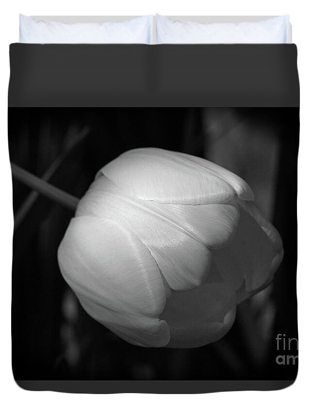 Bulb Duvet Cover featuring the photograph Softly by Jim Gillen