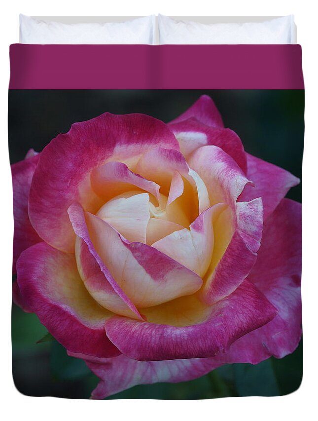 Flowers Duvet Cover featuring the photograph Softness by Dimitry Papkov