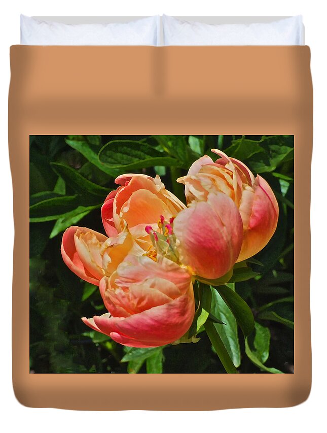 Peony Duvet Cover featuring the photograph Solstice Peony by Janis Senungetuk