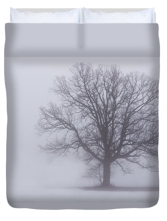 Fog Duvet Cover featuring the photograph Sometime We Need The Fog by Skip Tribby