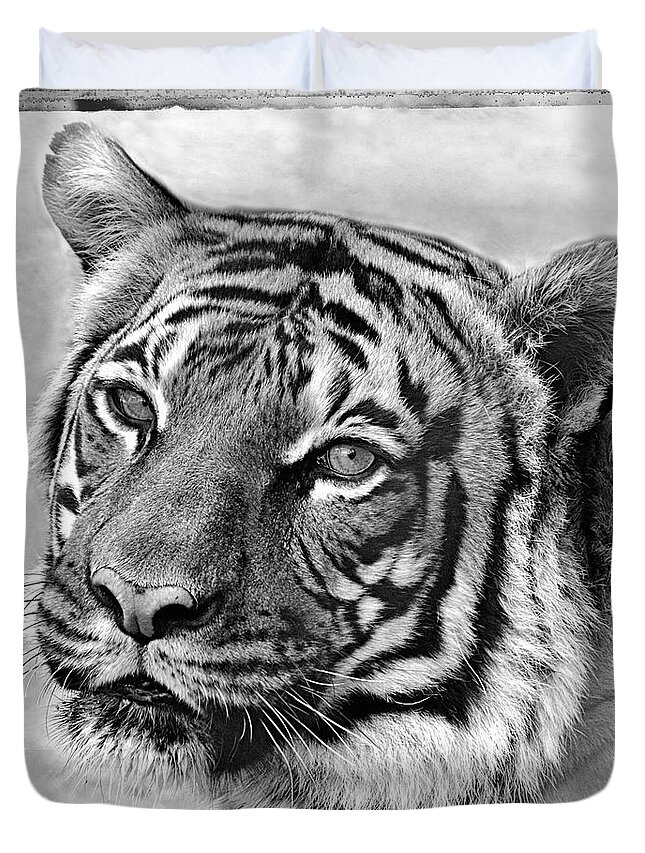 Tigers Duvet Cover featuring the photograph Sometimes Less Is More by Elaine Malott