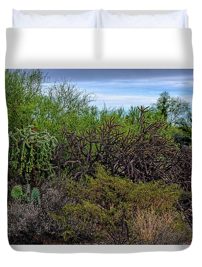 Arizona Duvet Cover featuring the photograph Sonoran Blend h1820 by Mark Myhaver