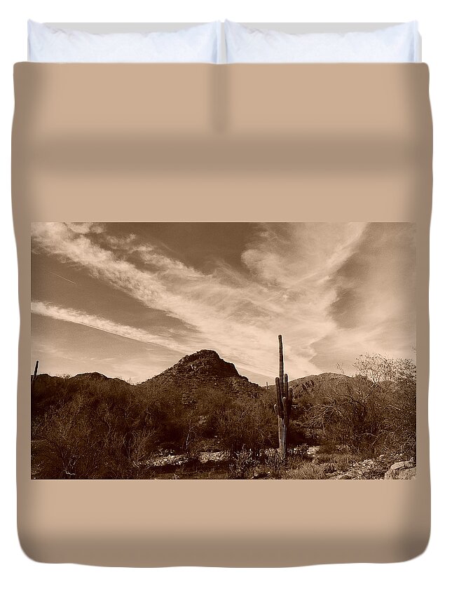 Sonoran Desert Sky Duvet Cover featuring the painting Sonoran Desert Sky by Bill Tomsa