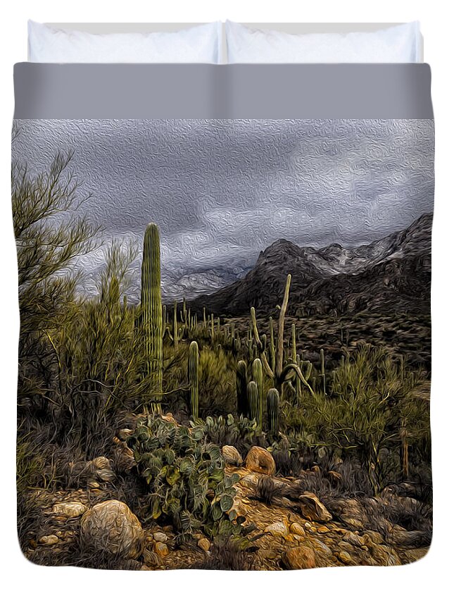 America Duvet Cover featuring the photograph Sonoran Winter No.3 by Mark Myhaver