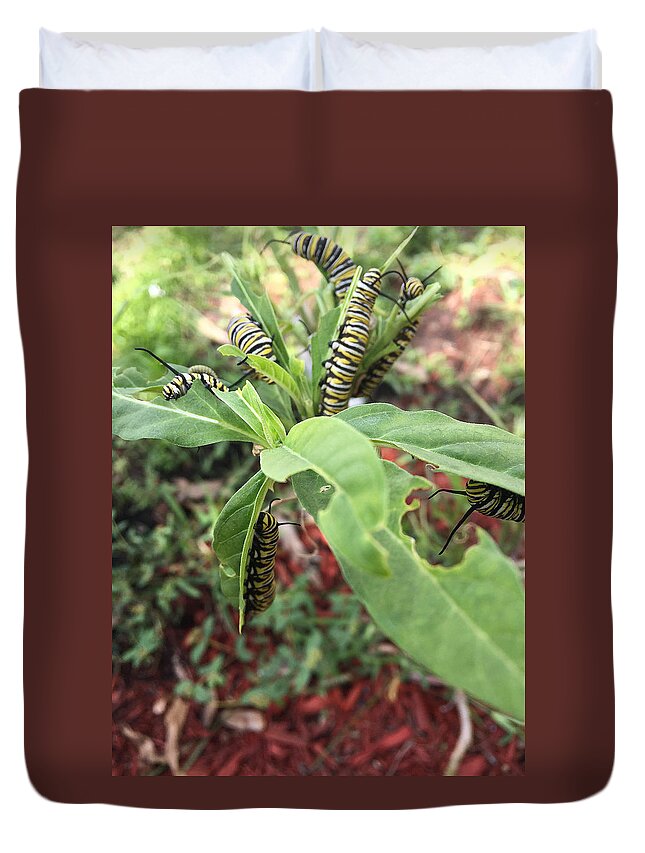Nature Duvet Cover featuring the photograph Soon to Change by Audrey Robillard