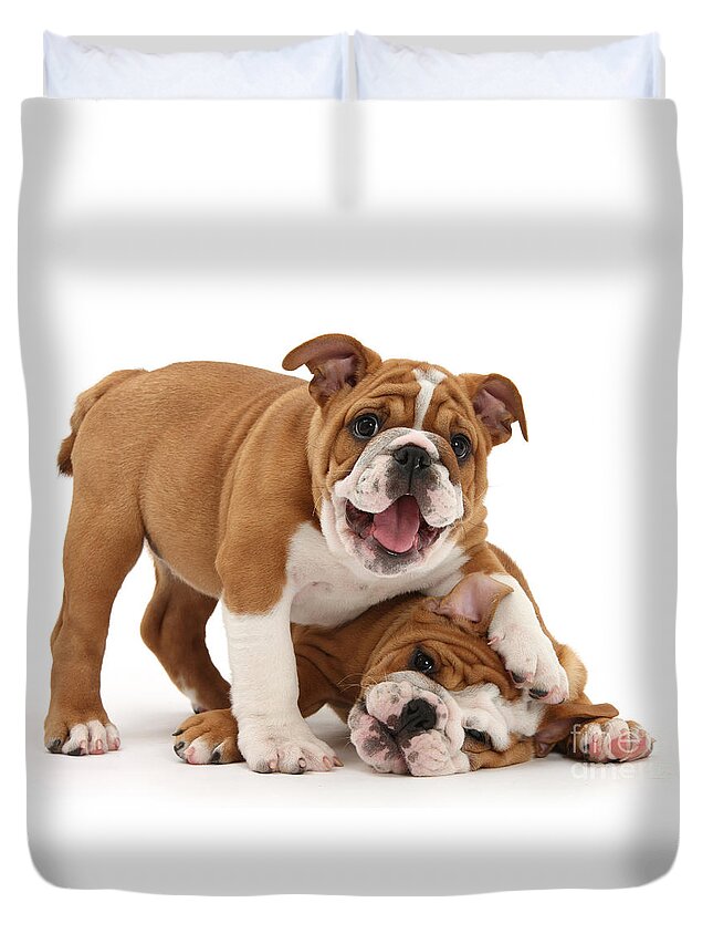 Playful Duvet Cover featuring the photograph Sorry, didn't see you there by Warren Photographic