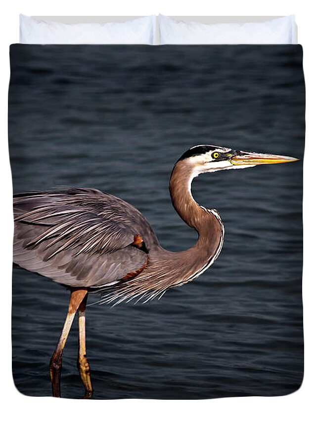 Crane Duvet Cover featuring the photograph Southern Comfort by Evelina Kremsdorf
