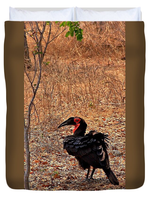 Southern Ground Hornbill Duvet Cover featuring the photograph Southern Ground Hornbill in Botswana by Stacie Gary