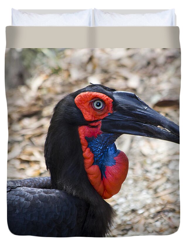 Hornbill Duvet Cover featuring the photograph Southern Ground Hornbill by Roger Wedegis