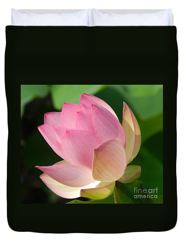 Flora Duvet Cover featuring the photograph Southern Lily Pond by Jan Gelders