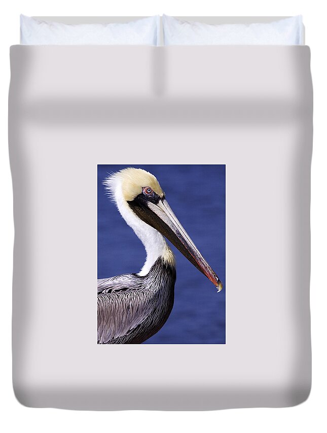 Southport Duvet Cover featuring the photograph Southport Pelican 2 by Nick Noble