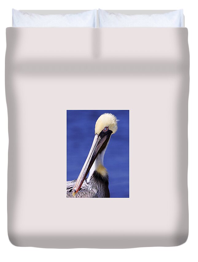 Southport Duvet Cover featuring the photograph Southport Pelican by Nick Noble
