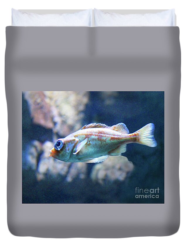 Aquarium Duvet Cover featuring the photograph Sparkle In His Eye by Cheryl Del Toro