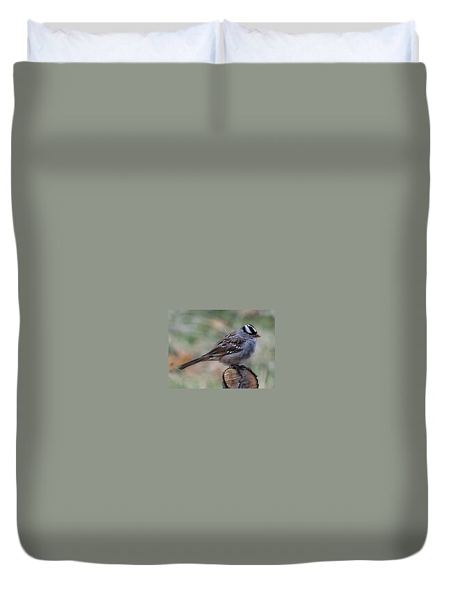Jan Holden Duvet Cover featuring the photograph Sparrow   by Holden The Moment