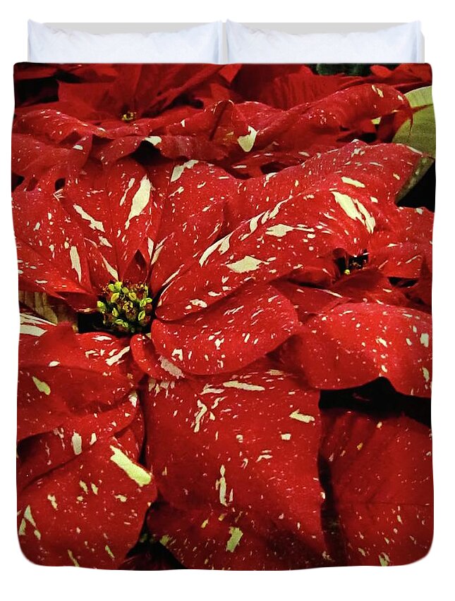 Poinsettia Duvet Cover featuring the photograph Speckled Poinsettia by Jennifer Wheatley Wolf