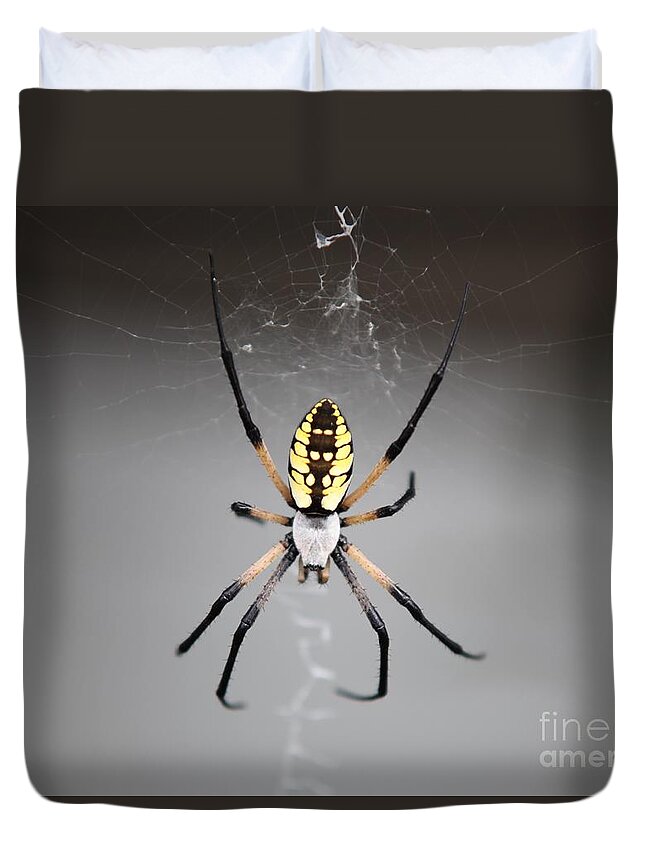 Spider Duvet Cover featuring the photograph Spider by Kathryn Cornett