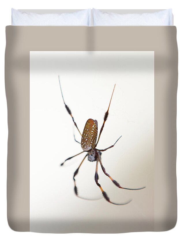 Spider Duvet Cover featuring the photograph Spider in the woods by Allan Morrison