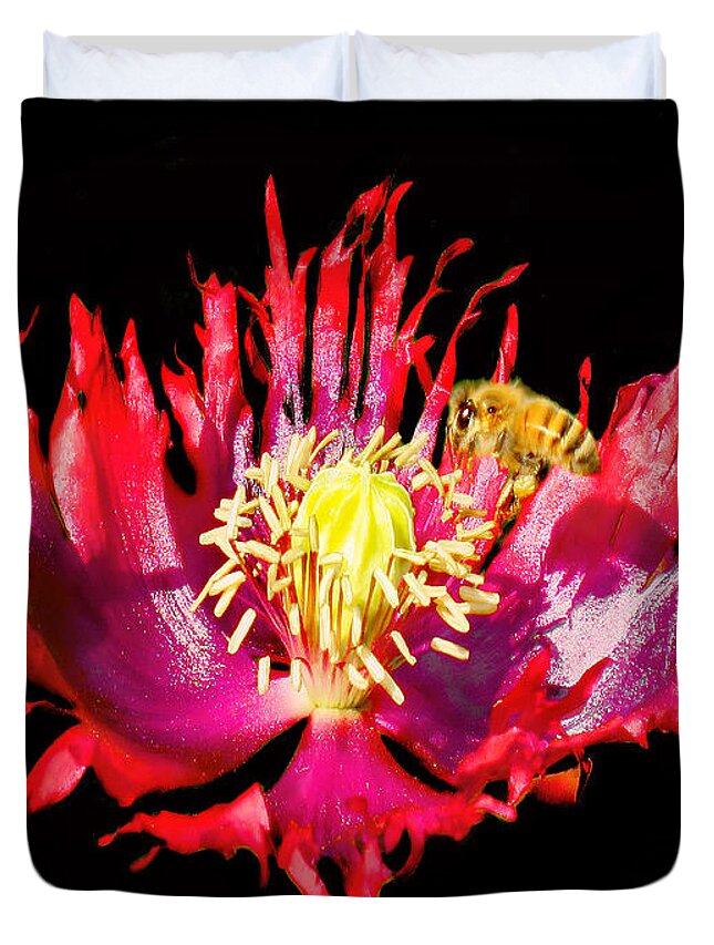 Bee Duvet Cover featuring the photograph Spider Poppy and the Bee by Jennie Breeze