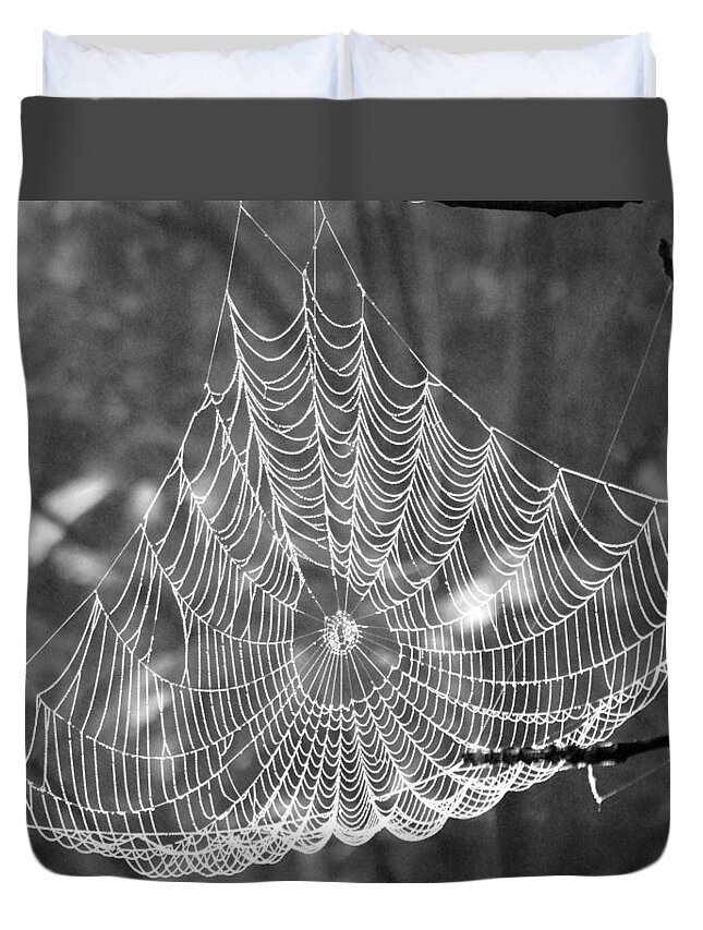 Morning Duvet Cover featuring the photograph Spider Web Dew B W by David T Wilkinson