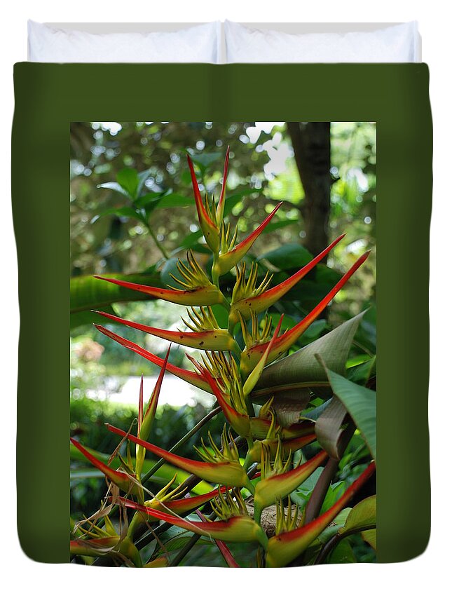 Spike Duvet Cover featuring the photograph Spike Plants by Rob Hans