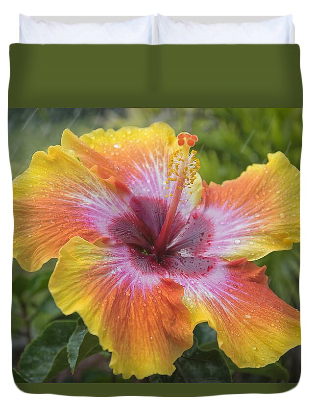 Hibiscus Duvet Cover featuring the photograph Spin The Bottle Hibiscus by Louise Hill