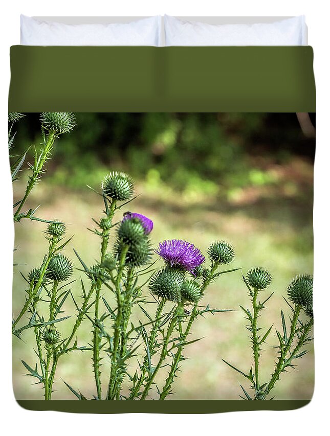 Bull Thistle Duvet Cover featuring the photograph Spiny Bull Thistle Wildflowers by Kathy Clark