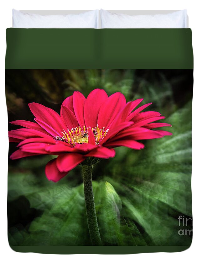 Nature Duvet Cover featuring the photograph Spiral Pink Flower Focus by Joann Long