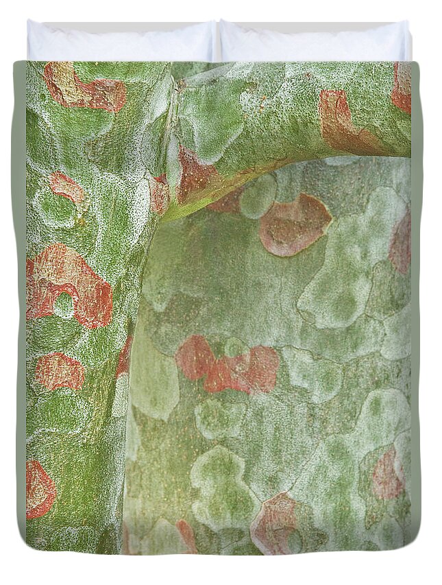 Trees Duvet Cover featuring the photograph Spirit of the Trees by Marilyn Cornwell