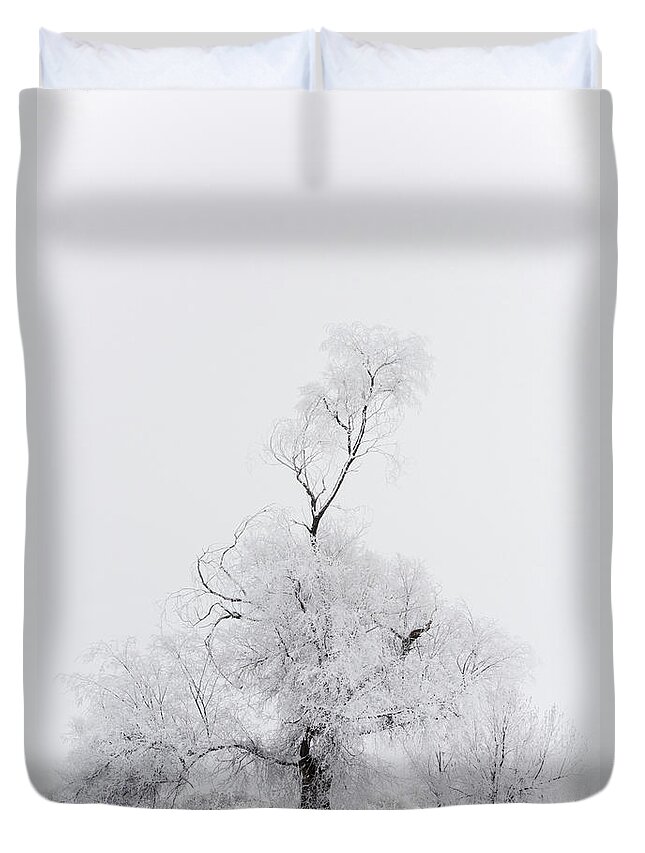 Utah Duvet Cover featuring the photograph Spirit Tree by Dustin LeFevre