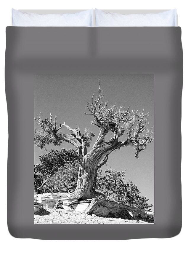 Abstract Duvet Cover featuring the photograph Spirit Tree by Maggy Marsh
