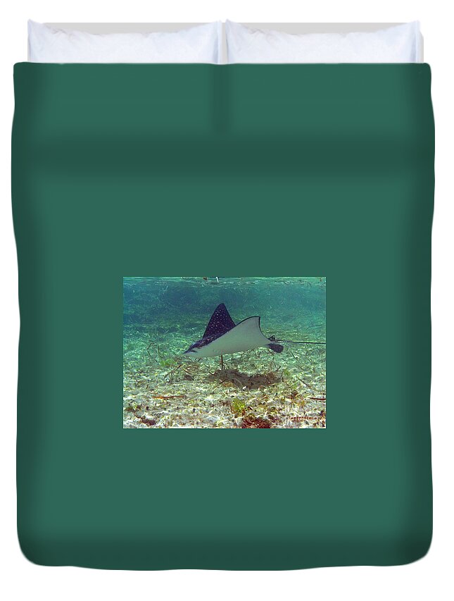 Ray Duvet Cover featuring the photograph Spotted Eagle Ray by Li Newton
