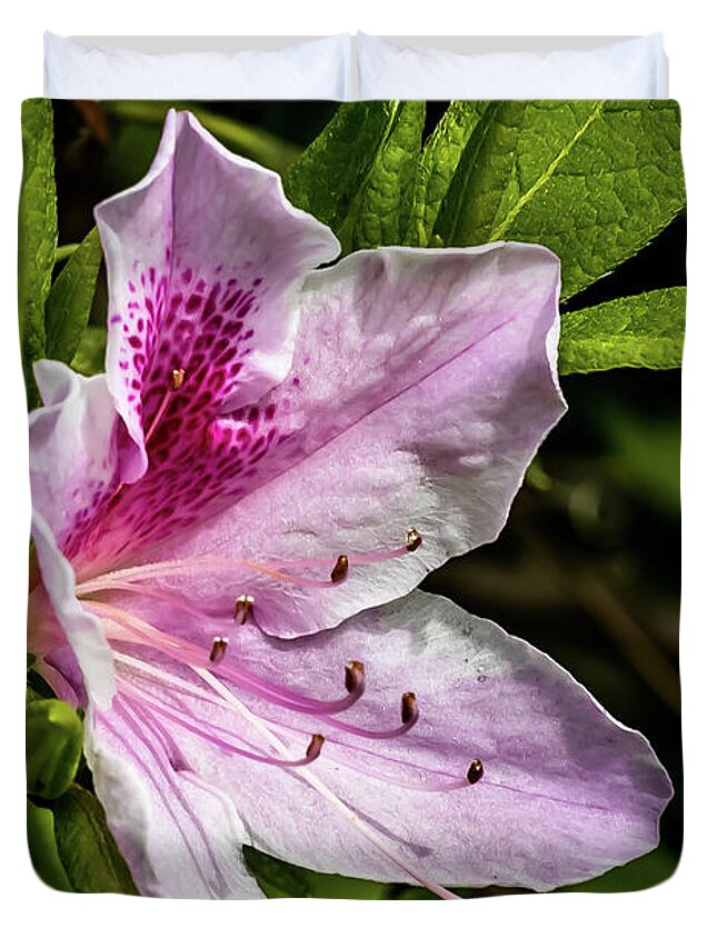 Flower Duvet Cover featuring the digital art Spotted Pink Azalea in Spring by Ed Stines