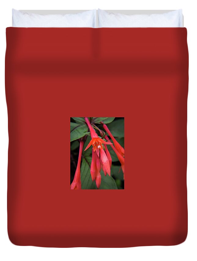 Macro Flower Duvet Cover featuring the photograph Spray of Red by Diane Moore