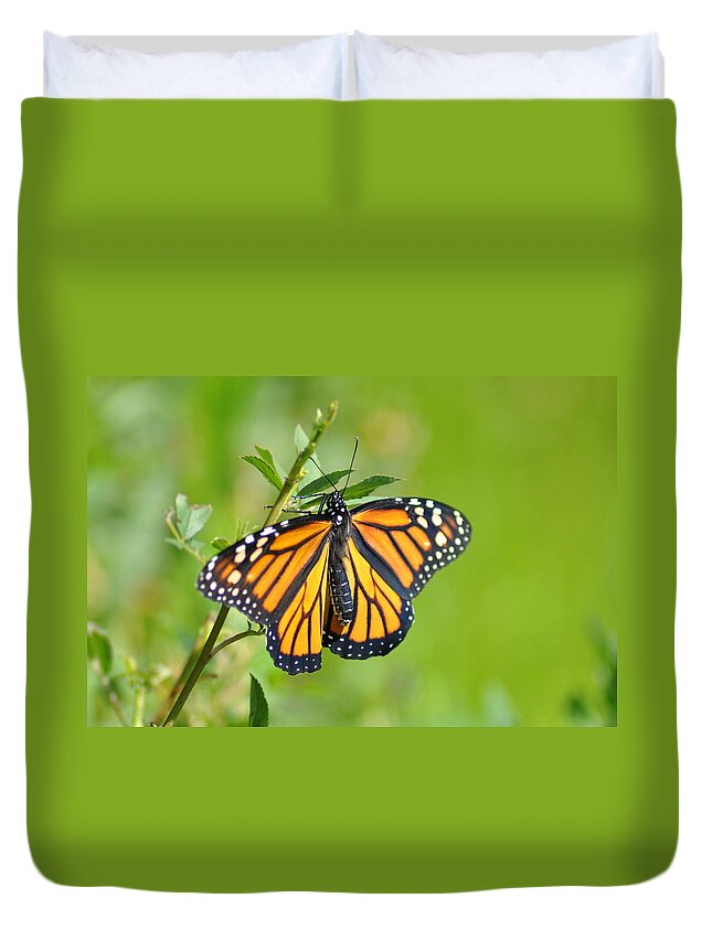 Butterfly Duvet Cover featuring the photograph Spread Your Wings by Bill Cannon
