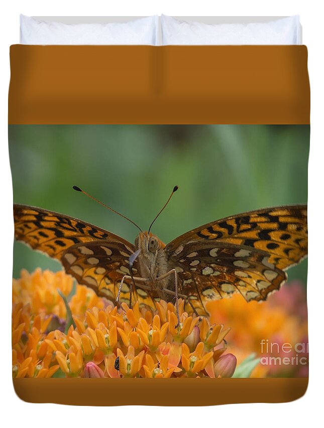 Insects Duvet Cover featuring the photograph Spread Your Wings by Lili Feinstein