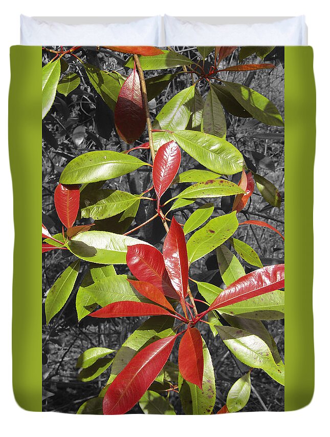 Nature Duvet Cover featuring the photograph Spring by Andre Brands