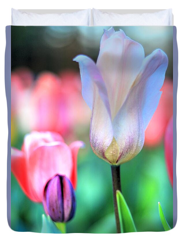 Tulips Duvet Cover featuring the photograph Spring Blooms II by Carol Montoya