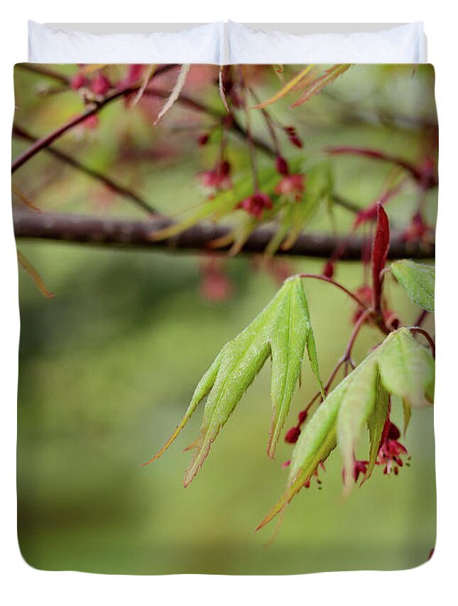 Spring Duvet Cover featuring the photograph Spring Blossoms by Holly Ross