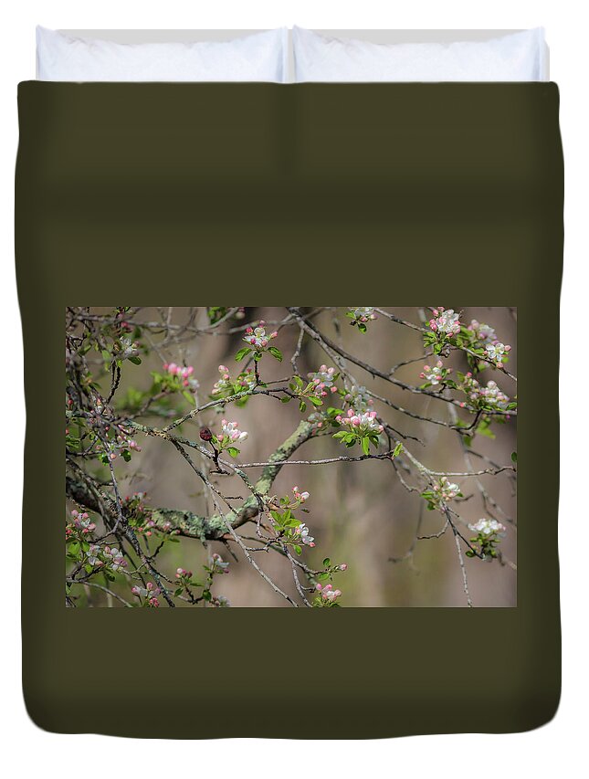 300 Mm F/4 Is Usm Duvet Cover featuring the photograph Spring Blossoms 2 by Mark Mille